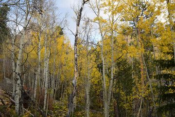 Rocky Mountain National Park