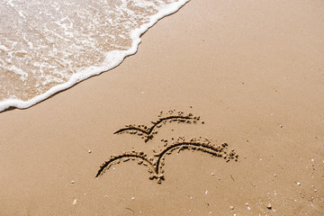 Family symbol - three seagulls drawing on the sand on the golden sunny sandy beach in the resort on summer vacation rest. Background with soft waves.