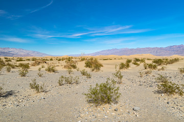 Desert in Arizona, US