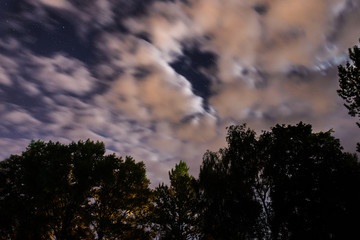 Silhouette of the forest in the night sky