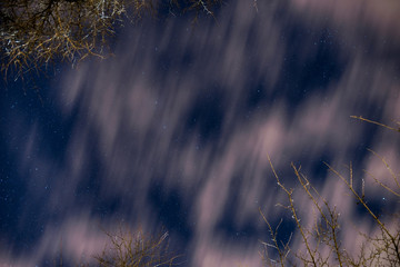 night starry sky with clouds and branches of trees