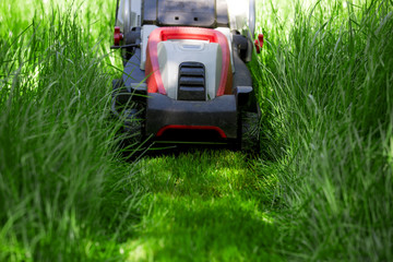 lawn mower cuts the grass
