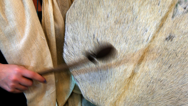 Tamburo sciamano