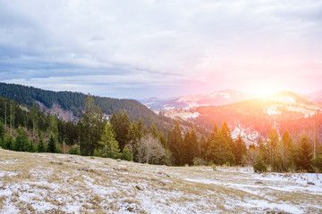 Scenic winter view on top of the Carpathian mountain