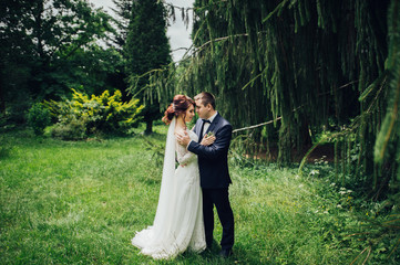 beautiful gorgeous bride and groom walking in sunny park and kis