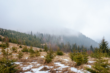 Beautiful view with morning fog in early spring, in Carpathian mountains, in Transylvania, Romania