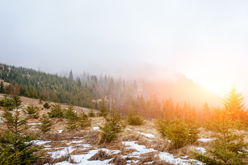 Beautiful view with morning fog in early spring, in Carpathian mountains, in Transylvania, Romania