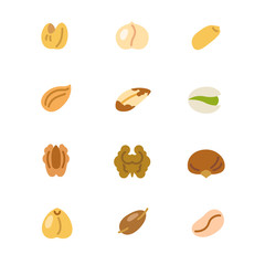 types of nuts as glyph icons / Twenty types of nuts as colorful glyph icons

