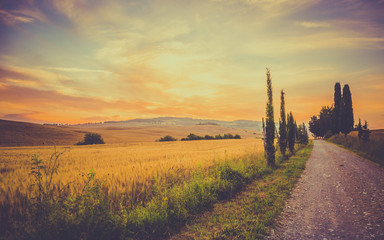 Fototapeta premium Vintage tuscan landscape