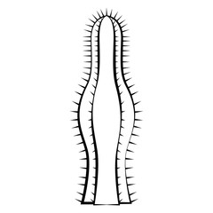 Sketch of a cactus