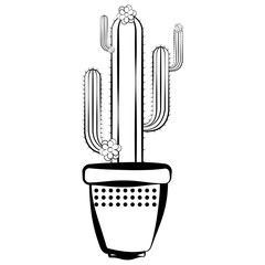 Sketch of a cactus