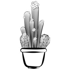 Sketch of a cactus