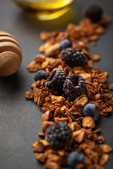 Healthy homemade granola with berries