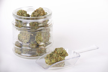 Cannabis buds (sour tangie strain) on glass jar isolated on white
