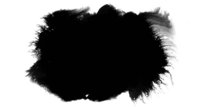 abstract paint brush stroke shape black ink splattering flowing and washing on white background, artistic ink splatter splash effect