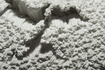 Bristles in dried white construction paint macro