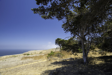 Smugglers Road, Santa Cruz Island