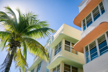 Typical colorful Art Deco architecture with bright backlit palm tree on Ocean Drive in South Beach, Miami, Florida - obrazy, fototapety, plakaty