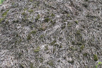 background of old straw
