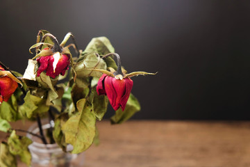Dried roses in a vase on the wooden table on the black background.