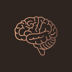Brain logo icon design. Vector illustration.