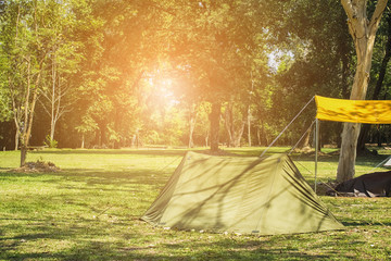 Camping on the grass in the forest bordered tourism and relaxation. Concept nature tourism.