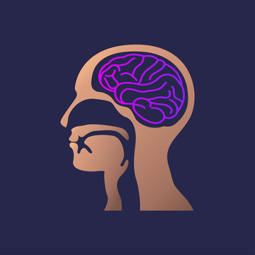brain icon design. Vector illustration