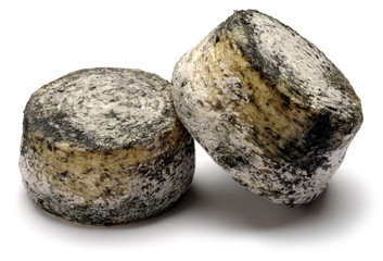 Ricotta di capra affumicata Рикотта 里考塔 リコッタ Ռիկոտա ריקוטה Ricota Requesón Queso 