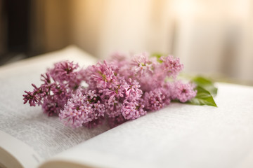 The branches of the lilac lie on an open book indoor with daylight, copy space, close up/ Pink lilac bouquet lying on book pages,  on sunny day with soft focus and blurry background/ Spring flowers