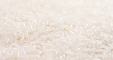 White rice close up