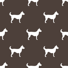 Fototapeta premium dog wallpaper