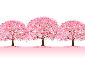 Obraz premium 桜 春 花 背景