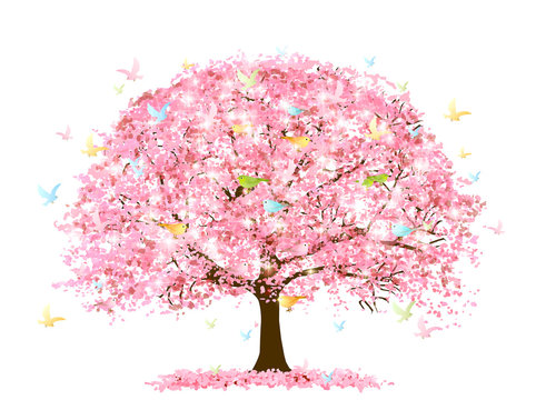 桜　春　花　アイコン