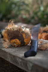 Machete and Coconut Husk