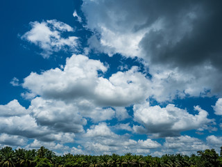 blue sky and the cloud