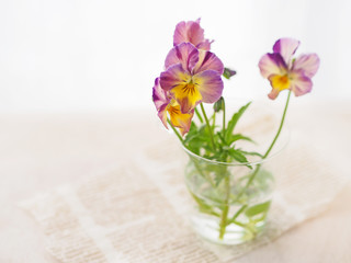 グラスに飾ったビオラの花