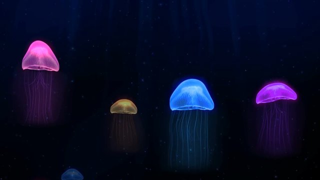 Seamless animation colorful jellyfish in deep sea underwater background pattern in fantasy marine concept. Graphical sea animal nature background or screen saver 4k.
