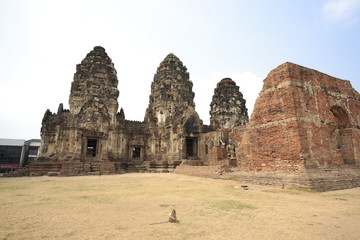 The wild monkeys in the Lopburi city, Thailand