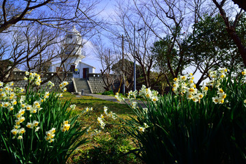 Obraz premium 豊後水道