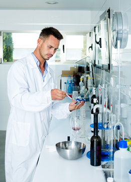 Man checking quality of wine in chemical laboratory