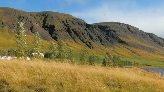 landscape in sunny day with dark mountains, trees and yellowed dry grass, windy weather