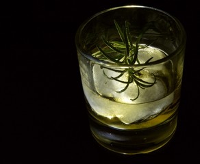 on the rocks