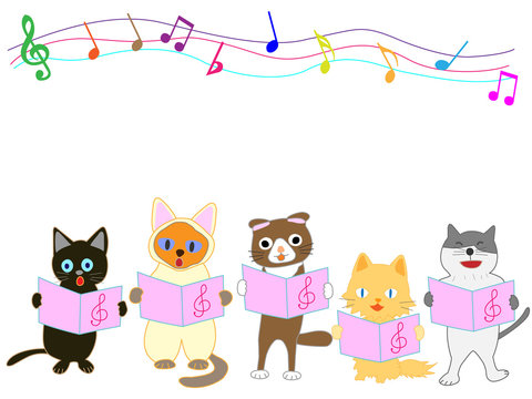 猫のコンサート