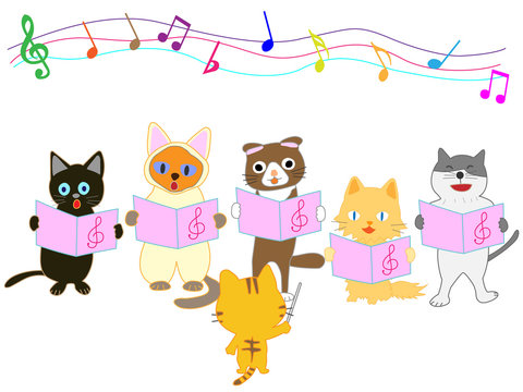 猫のコンサート