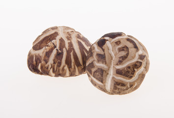 Dried mushroom closeup on background