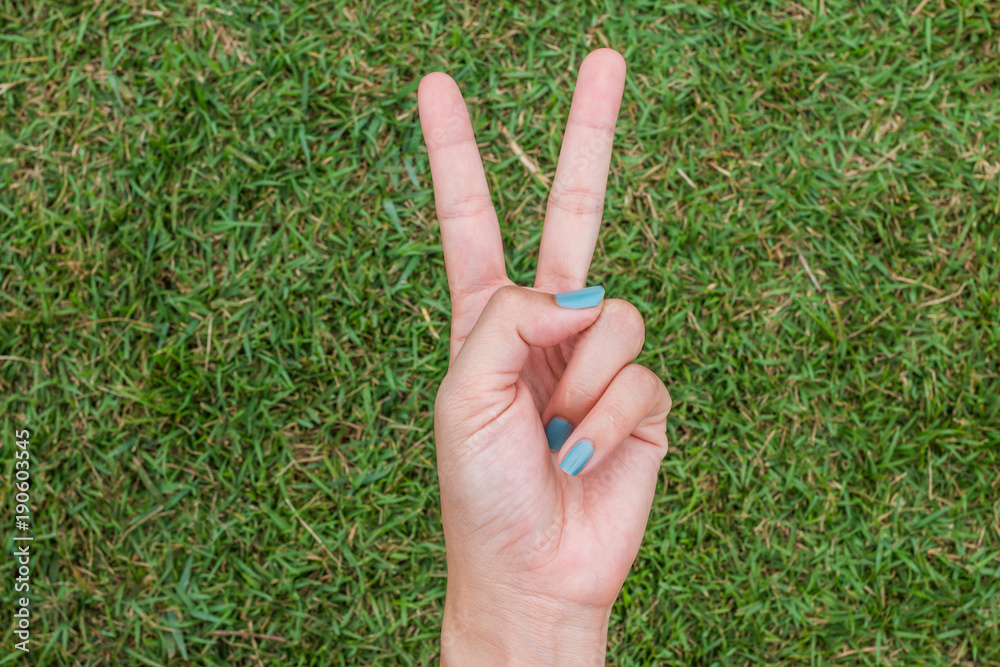 Wall mural Woman hand holding up the peace sign or number two with two fingers on green grass