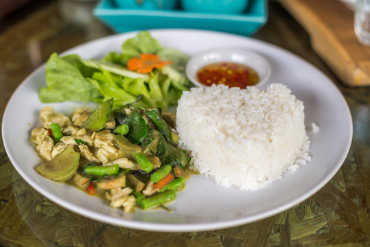 Dry Green Curry Chicken Stir fried by no soup with Jasmine Rice on white Dish for a Meal, Thai food selection