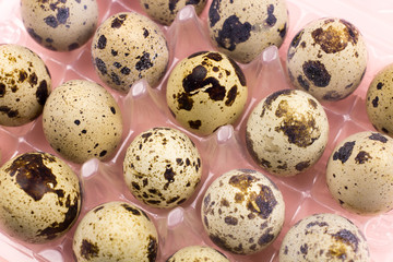 Holiday easter quail eggs on pastel pink background. Close up.