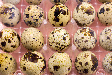 Fototapeta premium Holiday easter quail eggs on pastel pink background. Close up.