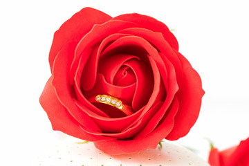 Close up Red roses and gold rings on white
